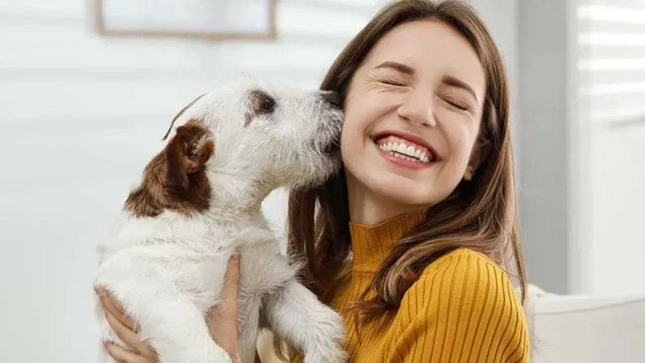 ఈ అధ్యయనాన్ని నిర్వహించడానికి శాస్త్రవేత్తలు 18 జతల కుక్కలను, వాటి యజమానులను ఎంచుకున్నారు. పెంపుడు జంతువులు వాటి యజమానులను విడిగా ఉంచారు. అక్కడ వాటికి ఆట పరికరాలు అందించి, బహిరంగ ప్రదేశంలో వదిలిపెట్టారు. తద్వారా అవి ఒత్తిడి లేకుండా ఉంటాయి. కానీ పరిశోధకులు కుక్క యజమానిని మానవ ఒత్తిడికి గురి చేశారు.