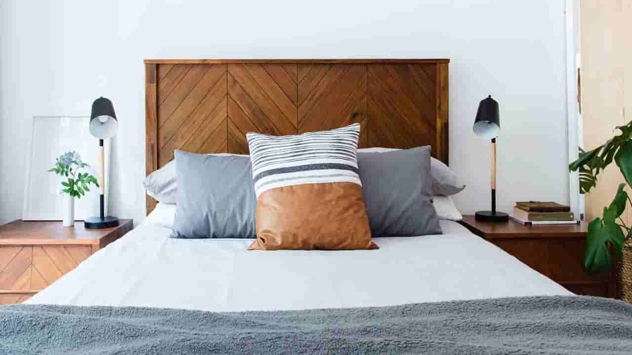 దిండేగా అనుకోకండి.. దాన్నిలో ఎన్ని క్రిములు ఉంటాయ్ తెలిస్తే షాకవుతారు..!