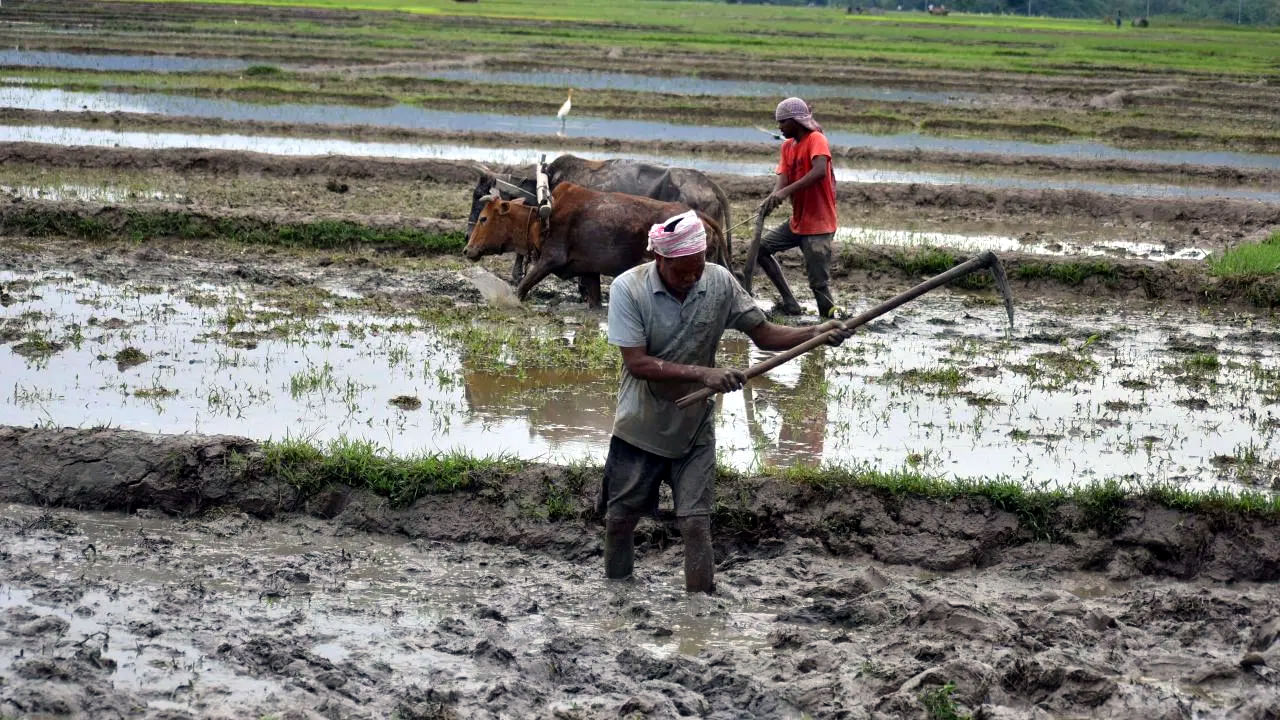 Govt Scheme: రైతులకు గుడ్‌న్యూస్‌.. ఇదంటే అసలైన స్కీమ్‌.. ఒక్క రూపాయి చెల్లించకుండానే ఏడాదికి రూ.36,000 మీరు ప్రధాన మంత్రి కిసాన్ సమ్మాన్ నిధి పథకంలో నమోదు చేసుకున్నారా? మీరు ఇప్పటికే ప్రధాన మంత్రి కిసాన్ సమ్మాన్ నిధి (PM-Kisan)లో నమోదు చేసుకుని ఉంటే ఇప్పుడు మీరు ప్రభుత్వం మరొక ప్రధాన పథకాన్ని పొందే అవకాశం ఉంటుంది. ప్రభుత్వం ప్రధాన మంత్రి కిసాన్ మంధన్ యోజన (PM-KMY)ని ప్రధాన మంత్రి కిసాన్ సమ్మాన్ నిధి పథకంతో అనుసంధానించింది. దీని అర్థం మీరు ఇకపై మీ పెన్షన్ పొందడానికి అదనపు పత్రాలను అందించాల్సిన అవసరం లేదన్నట్లు.