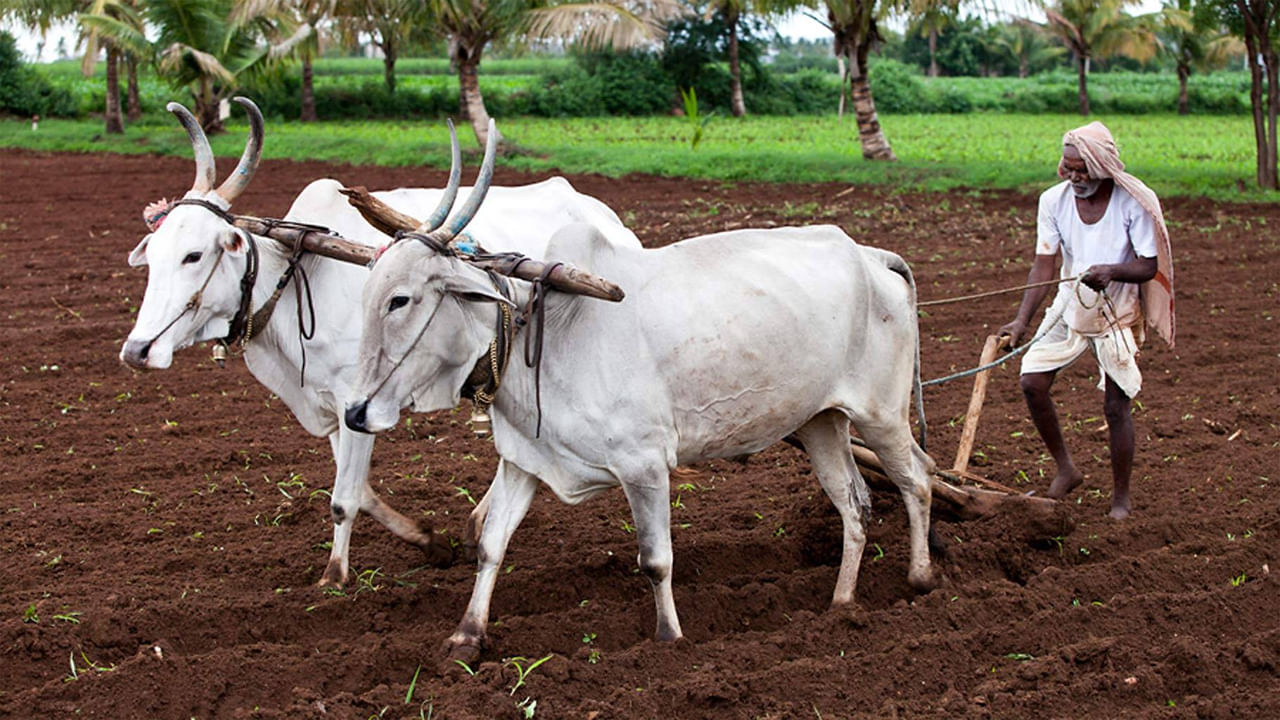 Pm Kisan Mandhan Yojana3