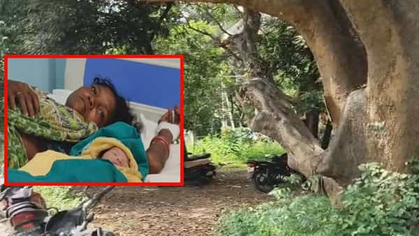 అయ్యో ఎంత కష్టం..! చెట్టు కిందే గర్భిణి ప్రసవం.. తల్లికి సపర్యలు చేసిన 11 ఏళ్ల కూతురు..!