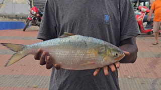 Andhra Pradesh: ఏపీ రైతులకు ప్రభుత్వం గుడ్‌న్యూస్‌.. వీటిపై 75 శాతం రాయితీ!