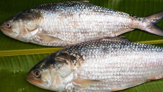 కల్తీ నెయ్యిని కనిపెట్టడం చాలా ఈజీ.. ఈ చిట్కాలతో..