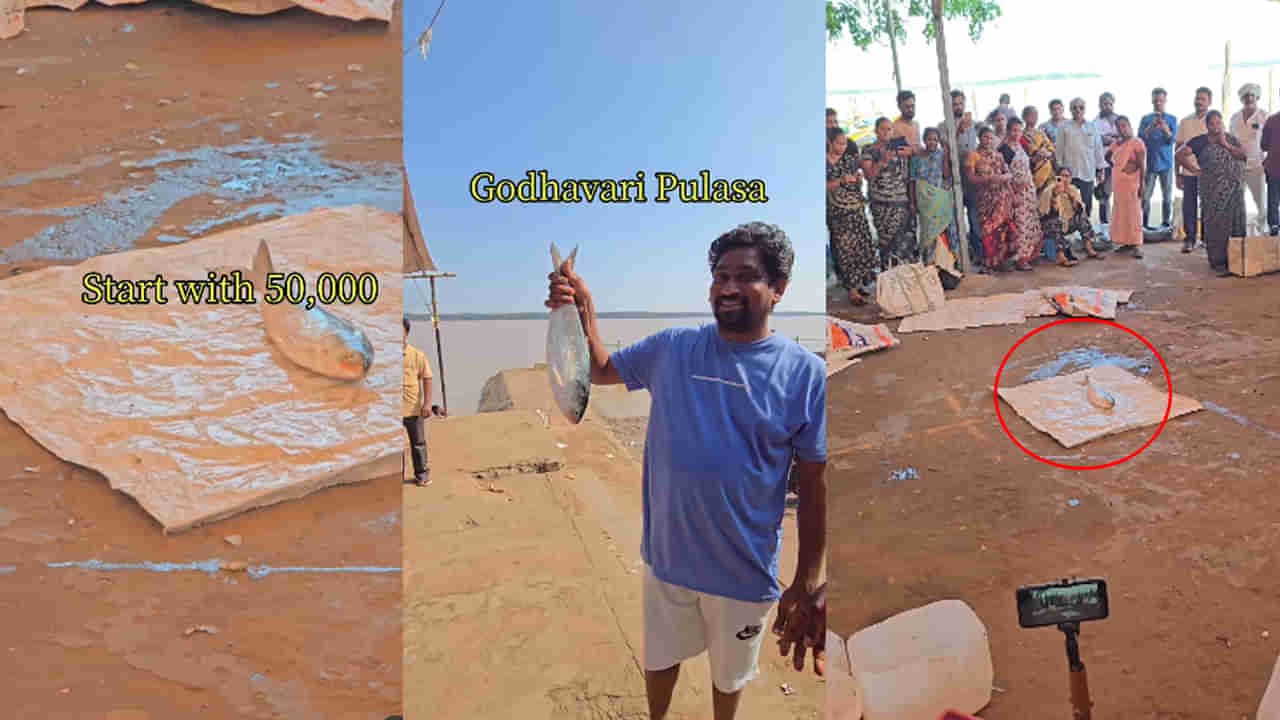 Andhra: తస్సాదియ్య.. ఈ పులస ఏంది సామి ఇంత ధర పలికింది..!