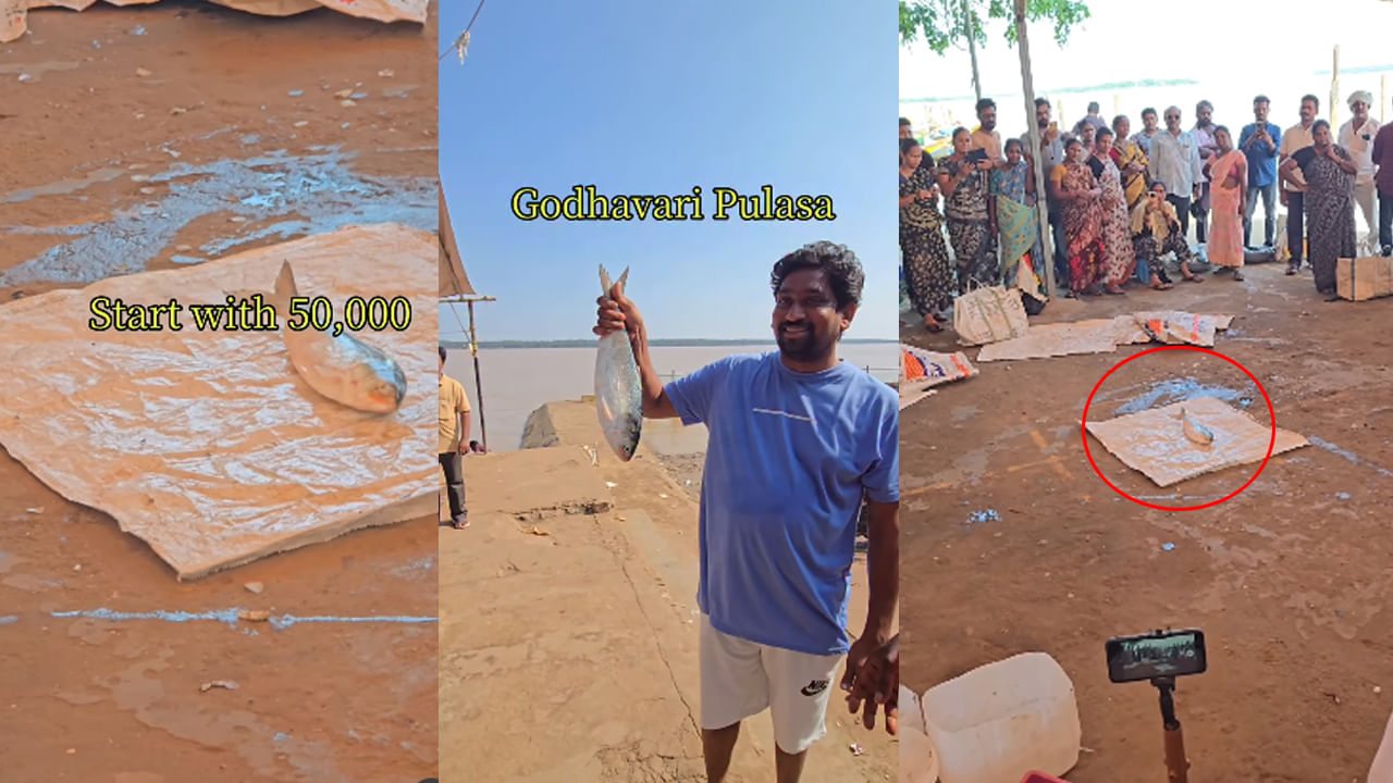 Andhra: తస్సాదియ్య.. ఈ పులస ఏంది సామి ఇంత ధర పలికింది..!