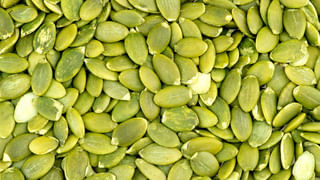 Health Tips: జామ ఆకులు తింటే ఏమవుతుందో తెలుసా..? తెలిస్తే అవాక్కే..