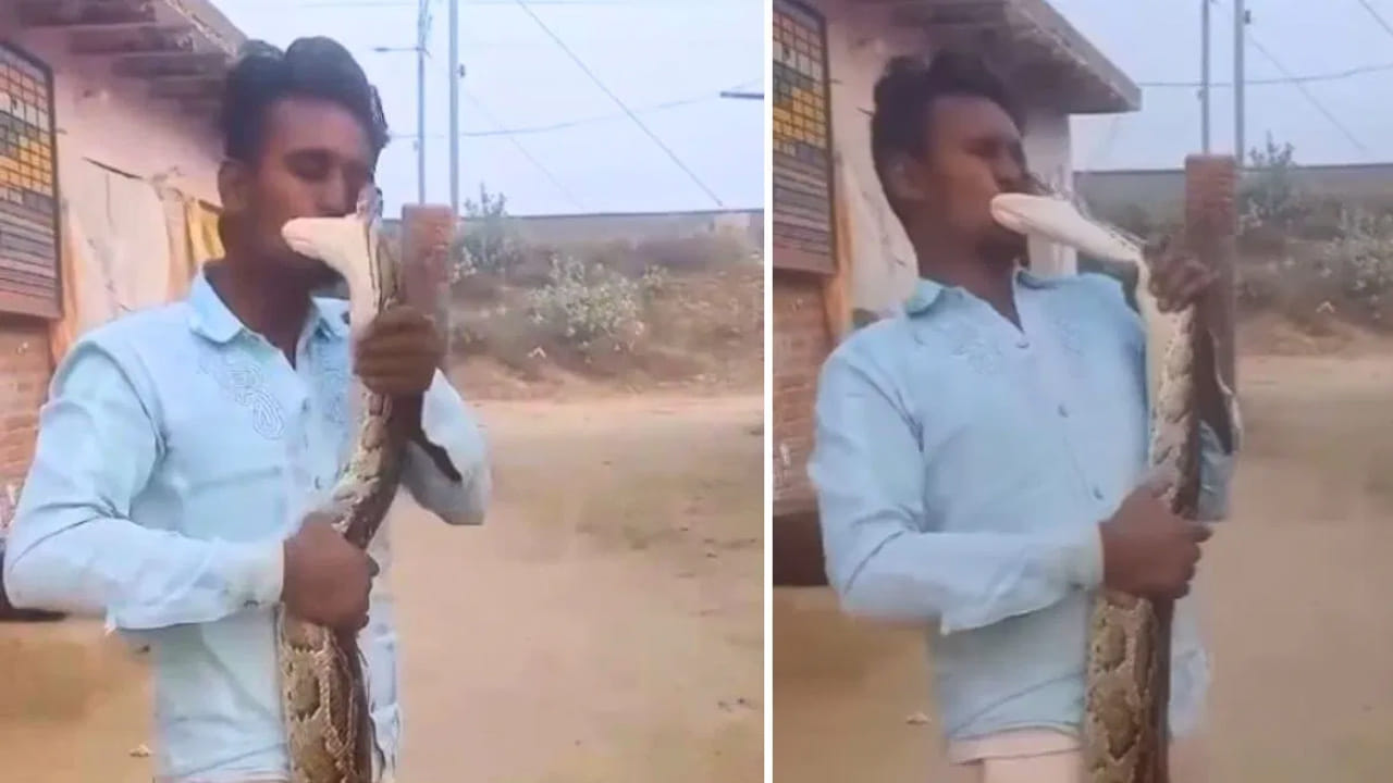 Viral Video: ఇదేం పైత్యం మావ.! పైథాన్‌తో ముద్దులాట.. కట్ చేస్తే.. ఆ తర్వాత సీన్ ఇది.