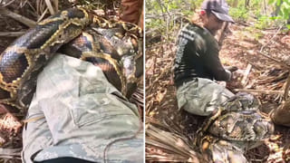 Accident Video: ఇలాంటి యాక్సిడెంట్‌ వీడియో మీరెప్పుడైనా చూశారా? సీసీటీవీలో రికార్డ్‌!