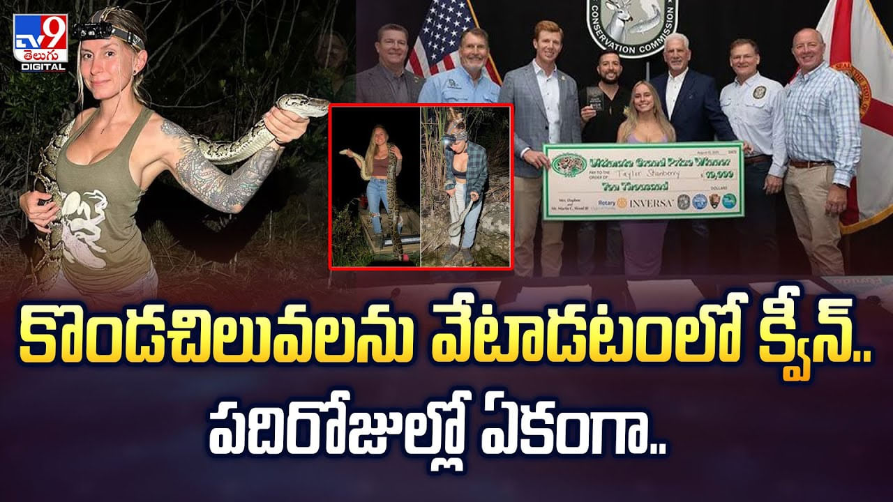 కొండచిలువలను వేటాడటంలో క్వీన్‌.. పదిరోజుల్లో ఏకంగా.. - Telugu News ...