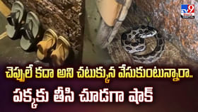 చెప్పులే కదా అని చటుక్కున వేసుకుంటున్నారా. పక్కకు తీసి చూడగా షాక్ చెప్పులే కదా అని చటుక్కున వేసుకుంటున్నారా. పక్కకు తీసి చూడగా షాక్