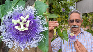 అమ్మ బాబోయ్‌.. 4.5 km పొడవైన రైలు! చరిత్ర సృష్టించిన భారతీయ రైల్వే