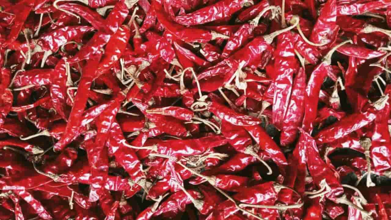 రోజూ మిరపకాయలు తింటే ఏమౌతుందో తెలుసా..? మీరు తప్పకుండా తెలుసుకోవాల్సిన విషయాలు మీకోసం..!