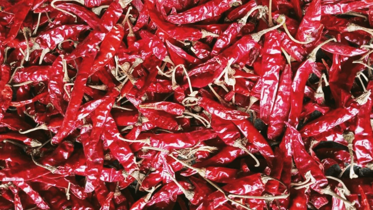 రోజూ మిరపకాయలు తింటే ఏమౌతుందో తెలుసా..? మీరు తప్పకుండా తెలుసుకోవాల్సిన విషయాలు మీకోసం..!