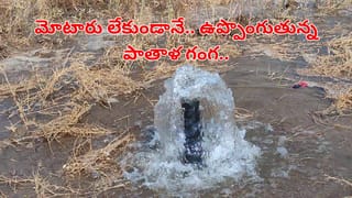 Viral Video: పిచ్చి పీక్స్‌కు చేరిందంటే ఇదేనేమో.. గేదెపై నిలబడి డ్యాన్స్.. చివరకు.. వీడియో వైరల్