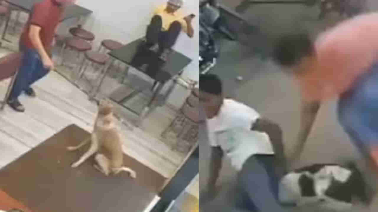 Viral Video: రెస్టారెంట్‌కు వచ్చిన వీధి కుక్క.. చివరకు ఏం జరిగిందో చూడండి.. వీడియో వైరల్‌!
