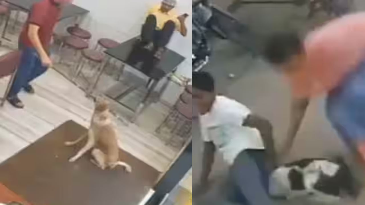 Viral Video: రెస్టారెంట్‌కు వచ్చిన వీధి కుక్క.. చివరకు ఏం జరిగిందో చూడండి.. వీడియో వైరల్‌!