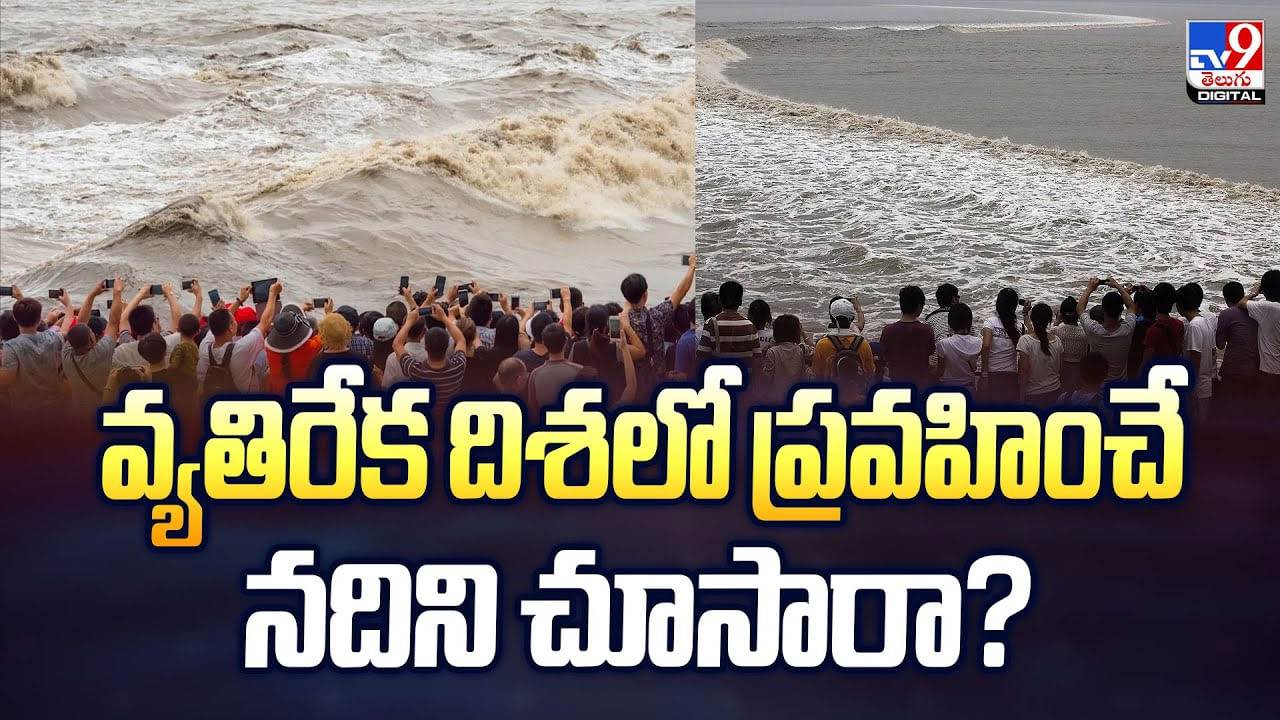 వ్యతిరేక దిశలో ప్రవహించే నదిని చూసారా? వ్యతిరేక దిశలో ప్రవహించే నదిని చూసారా?