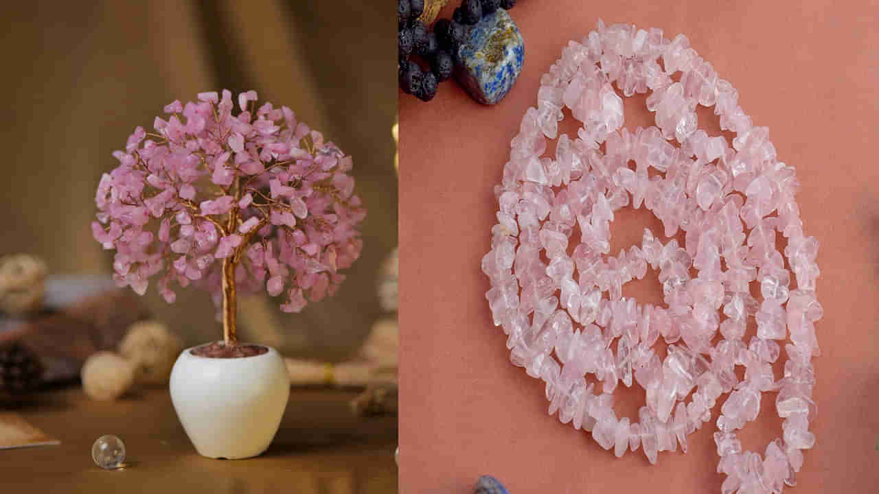 Astro Tips: ప్రేమకి, అందానికి చిహ్నం రోజ్ క్వార్ట్జ్.. మానసిక ఇబ్బందిని, ఇంట్లో ప్రతికూల శక్తిని తొలగించే మాయాజాలం దీని సొంతం..