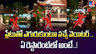 తాబేళ్ల రౌండ్ టేబుల్ సమావేశం చూసారా?