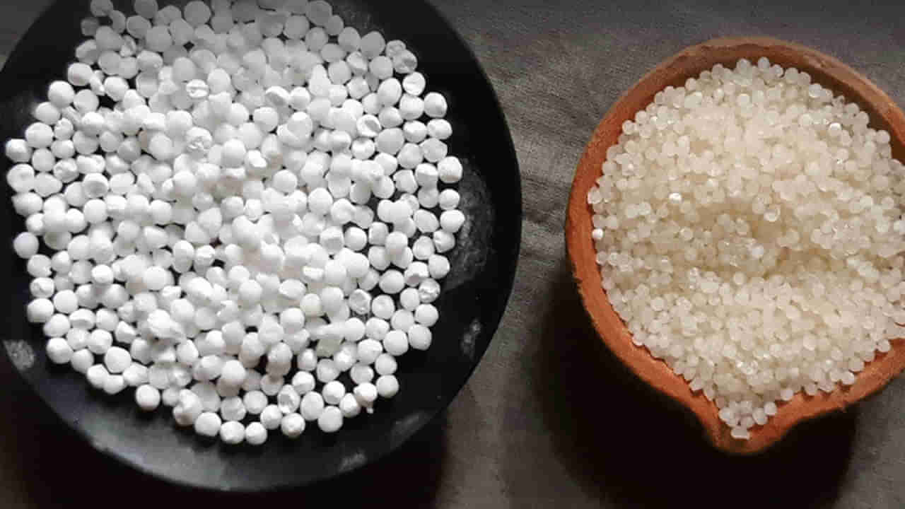 Sago Adulteration: కల్తీ సగ్గుబియ్యం తినే అనేక ఆరోగ్య సమస్యలు.. కల్తీ సగ్గుబియ్యాన్ని ఎలా గుర్తించాలంటే