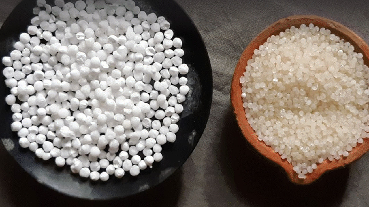 Sago Adulteration: కల్తీ సగ్గుబియ్యం తినే అనేక ఆరోగ్య సమస్యలు.. కల్తీ సగ్గుబియ్యాన్ని ఎలా గుర్తించాలంటే