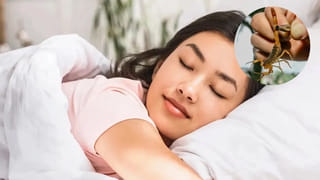 చాణక్యుడు ప్రకారం.. ఇవి అలవర్చుకుంటే.. వైవాహిక జీవితం హాయి హాయిగా