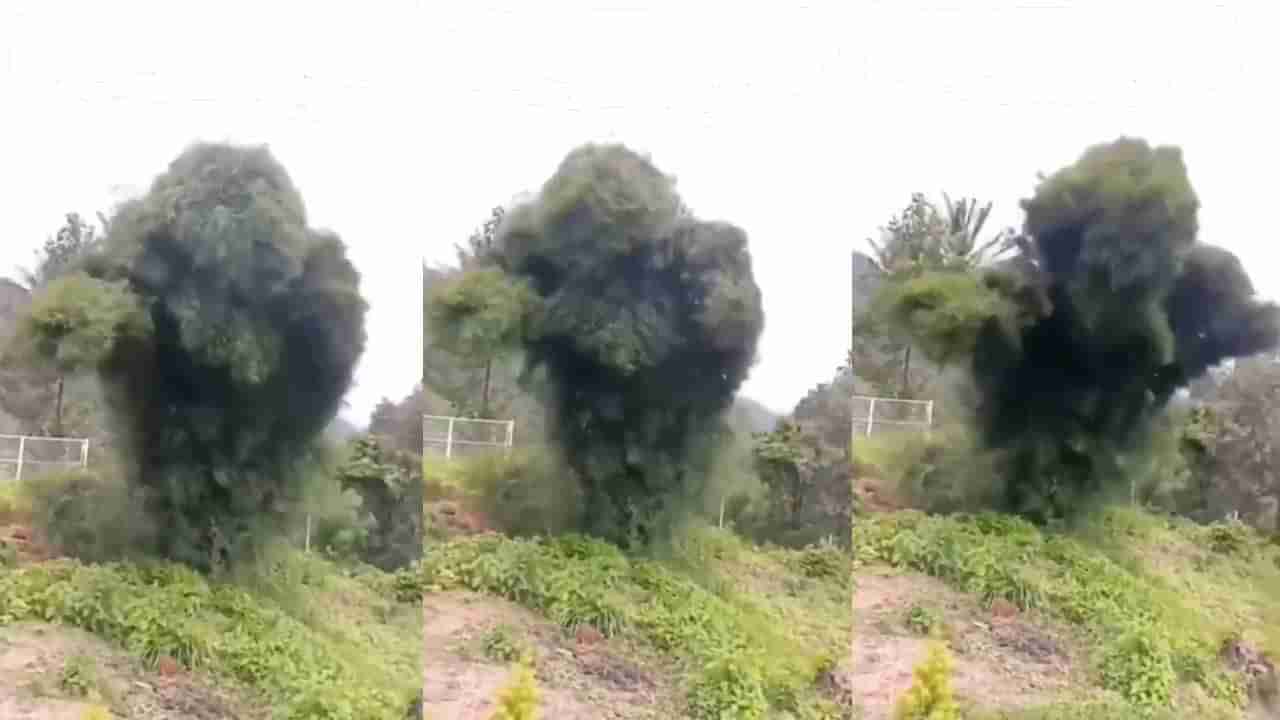 Watch: దెయ్యం పట్టినట్టు ఊగిపోతున్న భారీ చెట్టు.. ఒళ్లు గగుర్పాటుకు గురి చేస్తున్న వీడియో!