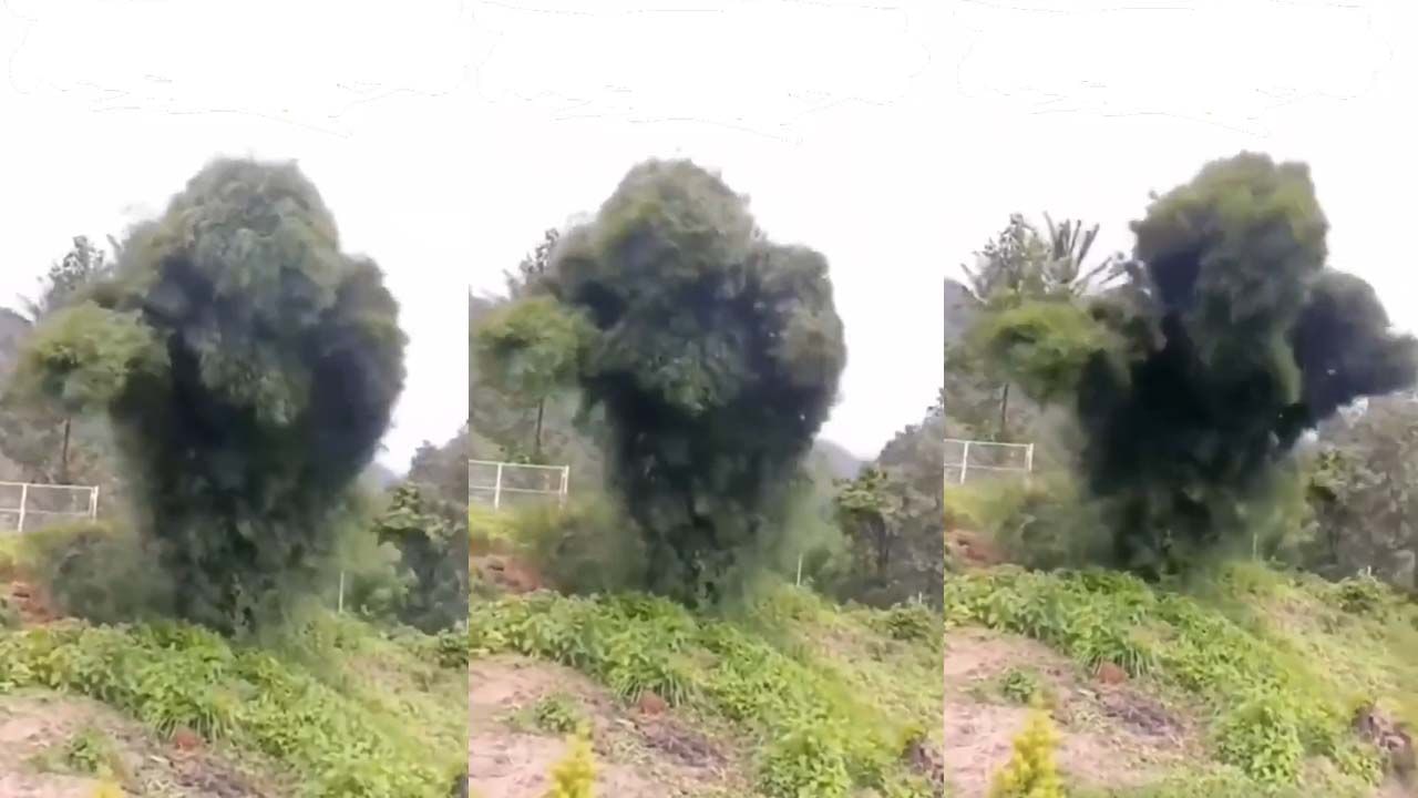 Watch: దెయ్యం పట్టినట్టు ఊగిపోతున్న భారీ చెట్టు.. ఒళ్లు గగుర్పాటుకు గురి చేస్తున్న వీడియో!