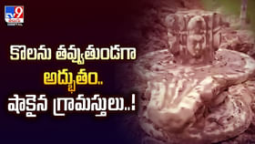 కొలను తవ్వుతుండగా అద్భుతం.. షాకైన గ్రామస్తులు..!