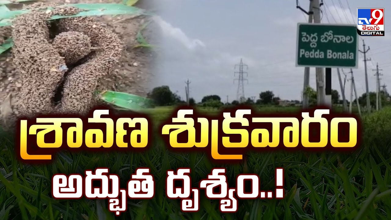 అద్భుతం : శివలింగంలా వెలిసిన పుట్ట.. వీడియో చూస్తే దండం పెట్టాల్సిందే!