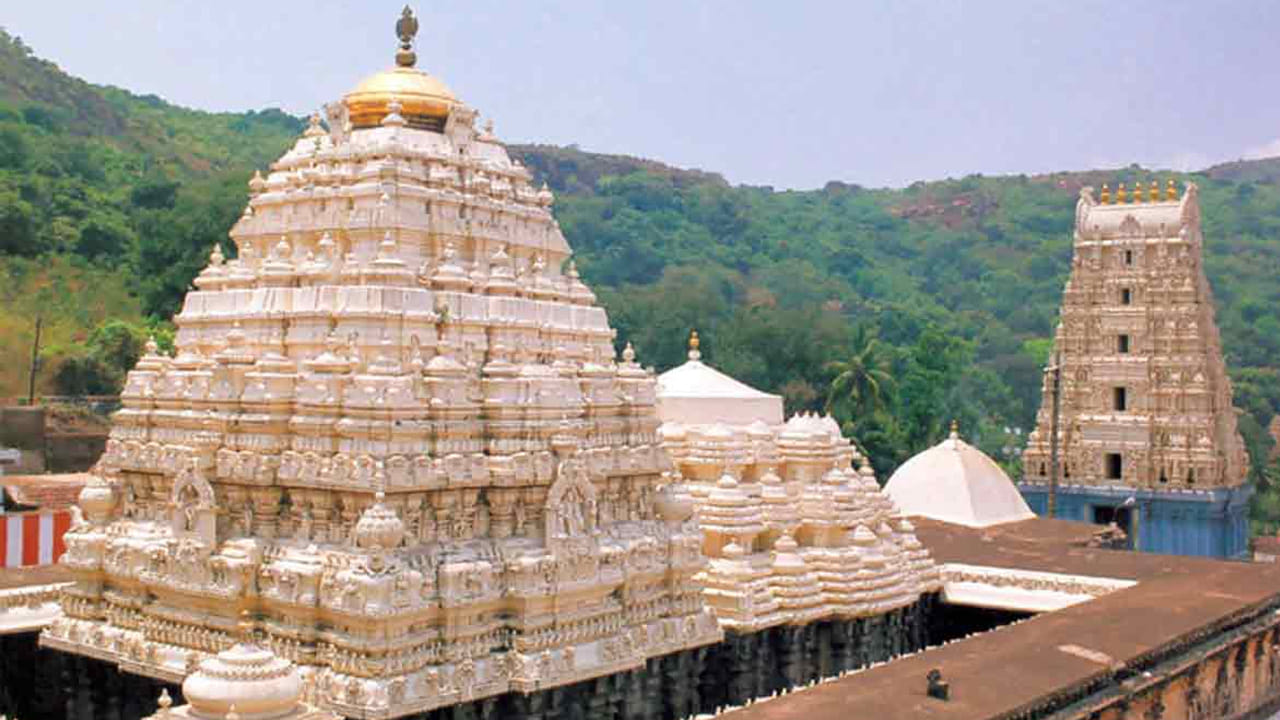 వరాహ లక్ష్మీ నరసింహ స్వామి ఆలయం, సింహాచలం : భూతల స్వర్గంగా ఖ్యాతి పొందిన విశాఖపట్నంలో ఉంది ఈ ఆలయం. ఇక్కడ విష్ణుమూర్తి వరాహ లక్ష్మీ నరసింహ స్వామిగా పూజలు అందుకుంటున్నారు. ఇది విష్ణువు మూడవ అవతారం. ఒరిస్సా, చాళుక్య. చోళ నిర్మాణ శైలులను కలిగి ఉంది. అదృష్టం కోసం కృష్ణాష్టమి రోజున ఈ దేవాలయాన్ని దర్శించండి.