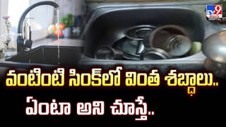 అతి పెద్ద గుహలో చిన్న ప్రపంచం..వీడియో చూస్తే మతిపోవాల్సిందే గురూ!