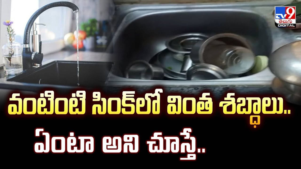 వంటింటి సింక్‌లో వింత శబ్ధాలు.. ఏంటా అని చూస్తే..