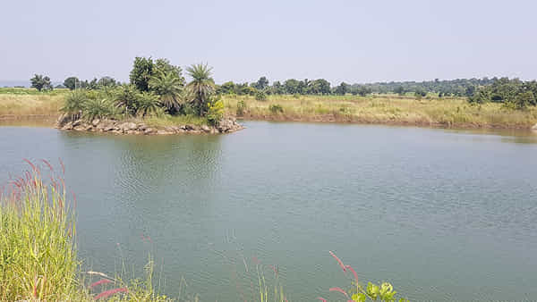 Andhra: చెరువులో పోలీసుల వెతుకులాట.. చెత్త కోసం అనుకునేరు.. అసలు ట్విస్ట్ ఇది