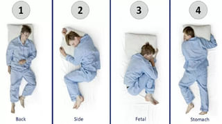 Viral Video: ఆకలితో ఉన్న పులికే దమ్కీ ఇచ్చిన పైథాన్.. కట్‌చేస్తే.. ఆ తర్వాత సీన్ ఇది..