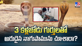 3 కళ్లజోడు గుర్తులతో అరుదైన నాగుపామును చూశారా?