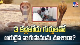 శ్రావణమాసంలో అద్భుతం..! శివుడి మెడలో నాగుపాము