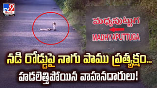 గూగుల్ తీసిన నగ్న ఫోటో.. కోర్టుకెళ్తే రూ.10 లక్షల నష్ట పరిహారం