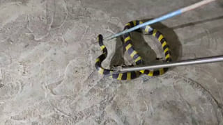 Kishan Reddy: రేవంత్ పగటివేషాలను ప్రజలు నమ్మరు.. వారిని ప్రసన్నం చేసుకోవడానికే ధర్నా.. కిషన్ రెడ్డి ఫైర్..