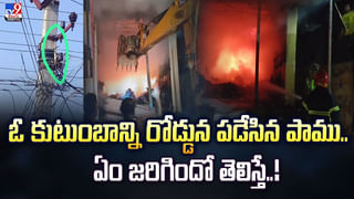 Viral Video: పిల్లవాడి ప్రాణాలను కాపాడేందుకు కుక్క ఏం చేసిందో చూడండి.. వీడియో చూస్తే వావ్ అంటారు!