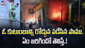 ఓ కుటుంబాన్నిరోడ్డున పడేసిన పాము.. ఏం జరిగిందో తెలిస్తే ఓ కుటుంబాన్నిరోడ్డున పడేసిన పాము.. ఏం జరిగిందో తెలిస్తే
