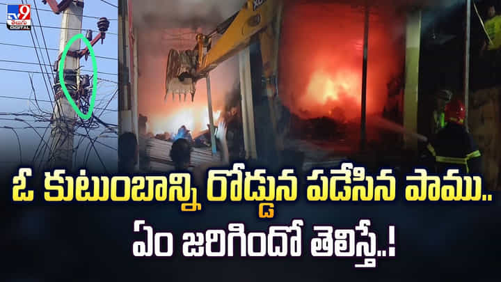ఓ కుటుంబాన్నిరోడ్డున పడేసిన పాము.. ఏం జరిగిందో తెలిస్తే ఓ కుటుంబాన్నిరోడ్డున పడేసిన పాము.. ఏం జరిగిందో తెలిస్తే