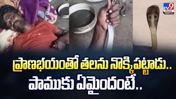 ప్రాణభయంతో తలను నొక్కిపట్టాడు.. పాముకు ఏమైందంటే.. ప్రాణభయంతో తలను నొక్కిపట్టాడు.. పాముకు ఏమైందంటే..