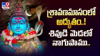 కొలను తవ్వుతుండగా అద్భుతం.. షాకైన గ్రామస్తులు..!