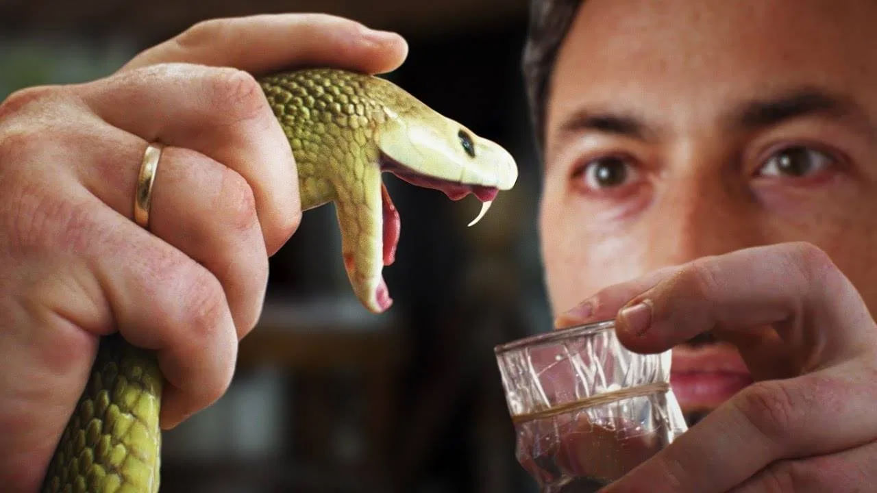 మన దేశంలో పాములను ఎంతో భక్తితో పూజిస్తారు. అయితే పాములను చూస్తే కూడా అంతే స్థాయిలో భయపడతారు. విషపూరిత పాము కాటు ప్రాణాలను తీయగలదు. అందుకే ఎవరికైనా పాము కనిపిస్తే మొదట కట్టెలు, కర్రల కోసం వెదుకుతారు. వెంటనే దానిని చంపడానికి ప్రయత్నిస్తారు.