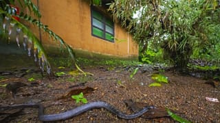 Mobile: ఏంటీ రెండు గంటలకు మించి ఫోన్‌ వాడితే.. ఇన్ని అనర్థాల?