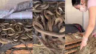 Video: నటి చెంప పగలగొట్టిన నటుడు..! ఎవరో వీడియో తీయడంతో..