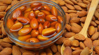 Foamy Urine: మూత్రంలో నురగ వస్తుందా.. అది దేనికి సంకేతమంటే?