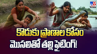 వావ్.. అనిపిస్తున్న బయ్యారం జలపాతాలు వీడియో