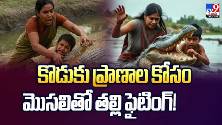 కొడుకు ప్రాణాల కోసం.. మొసలితో తల్లి ఫైటింగ్ వీడియో కొడుకు ప్రాణాల కోసం.. మొసలితో తల్లి ఫైటింగ్ వీడియో